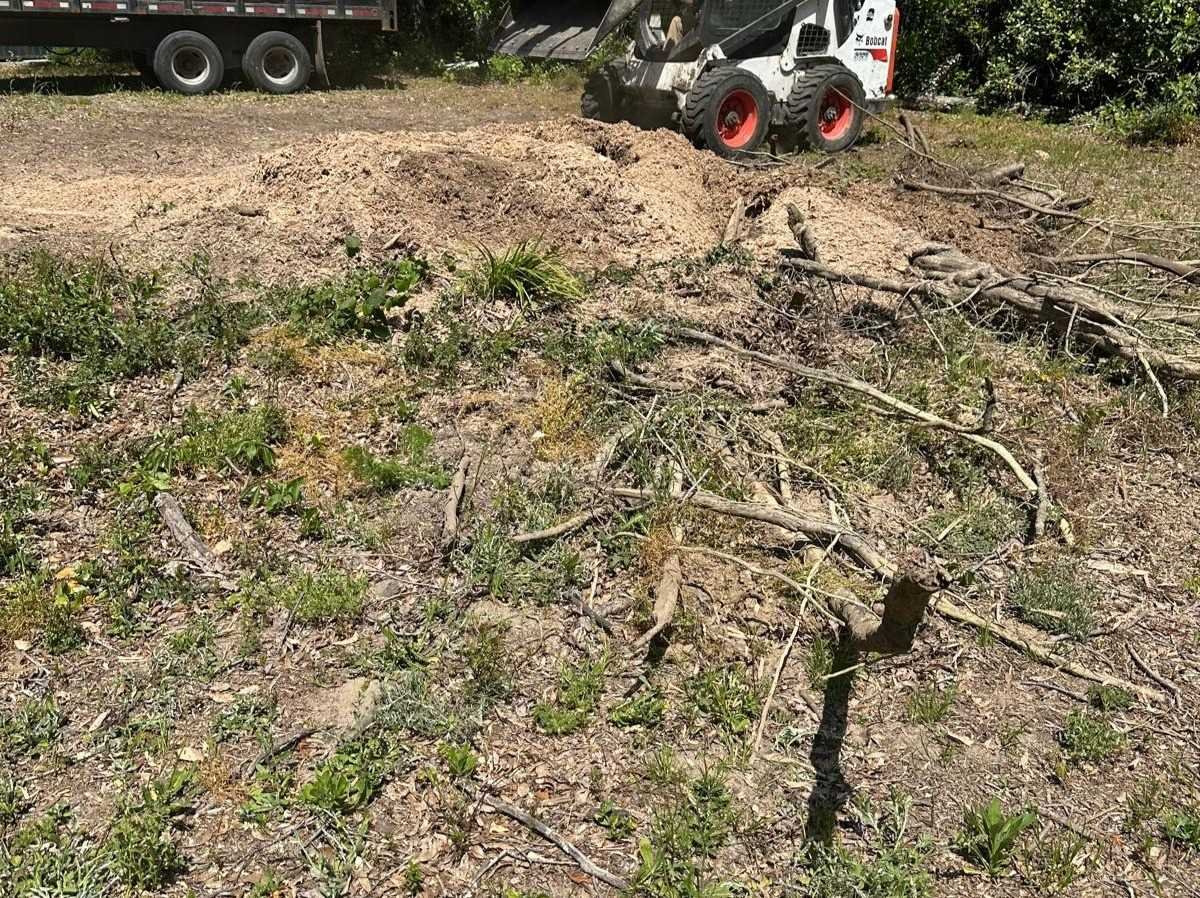 El Costeño Tree Service LLC